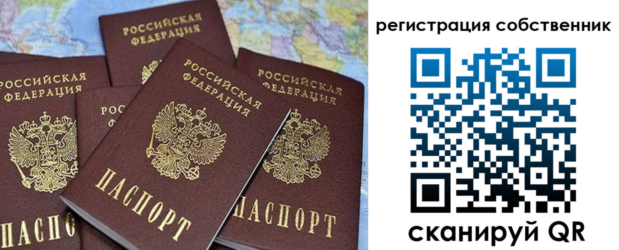 прописка для школы в Боре
